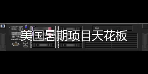 板美国项目暑期天花